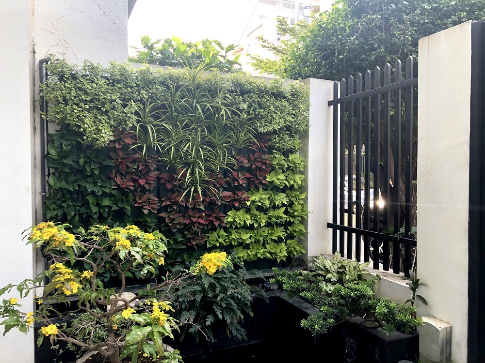 background sân vườn 1