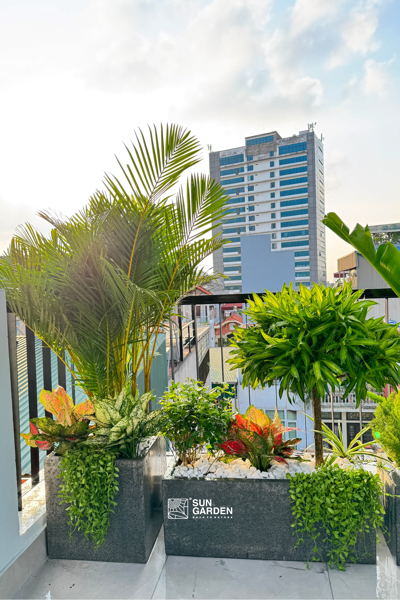 Mẫu nhà sân vườn 5