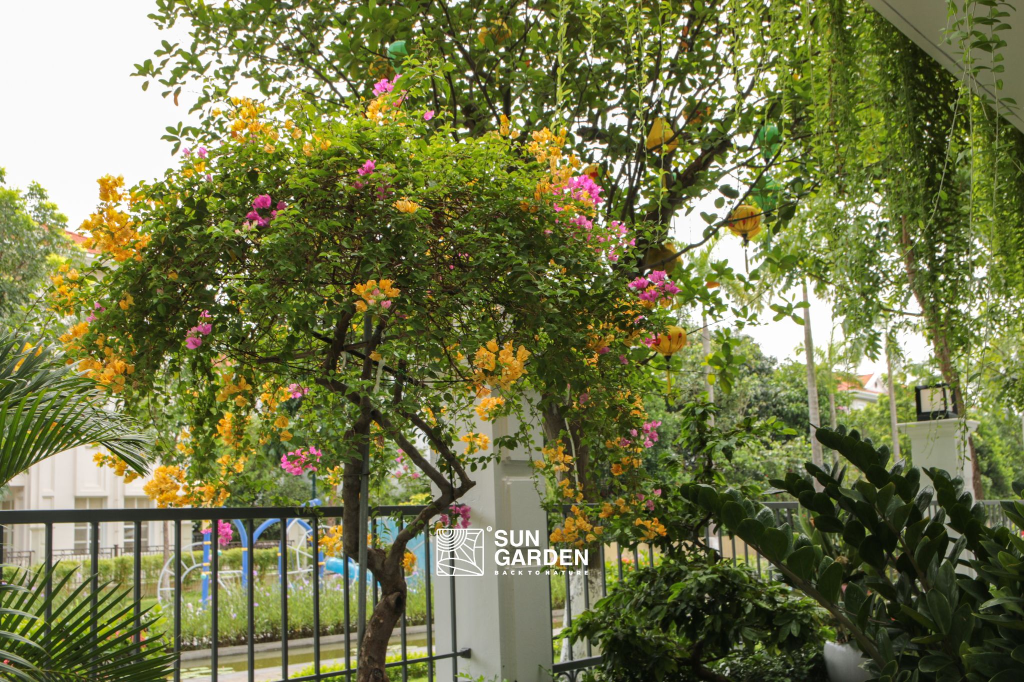 mẫu nhà sân vườn đẹp 6