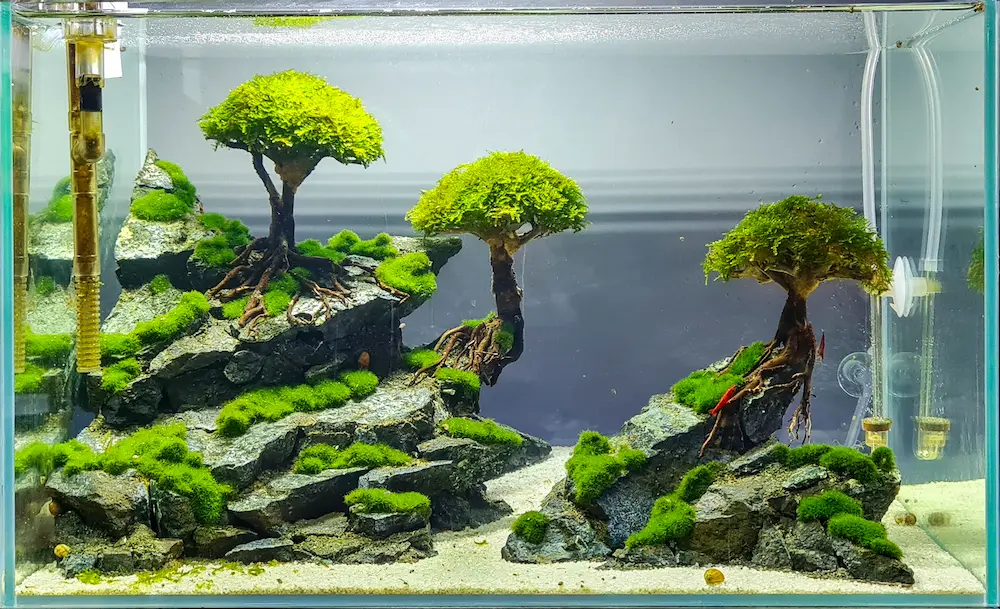 Mô hình tiểu cảnh 4