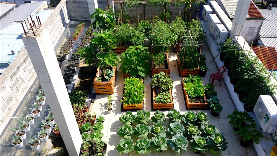 sân trong nhà phố 1