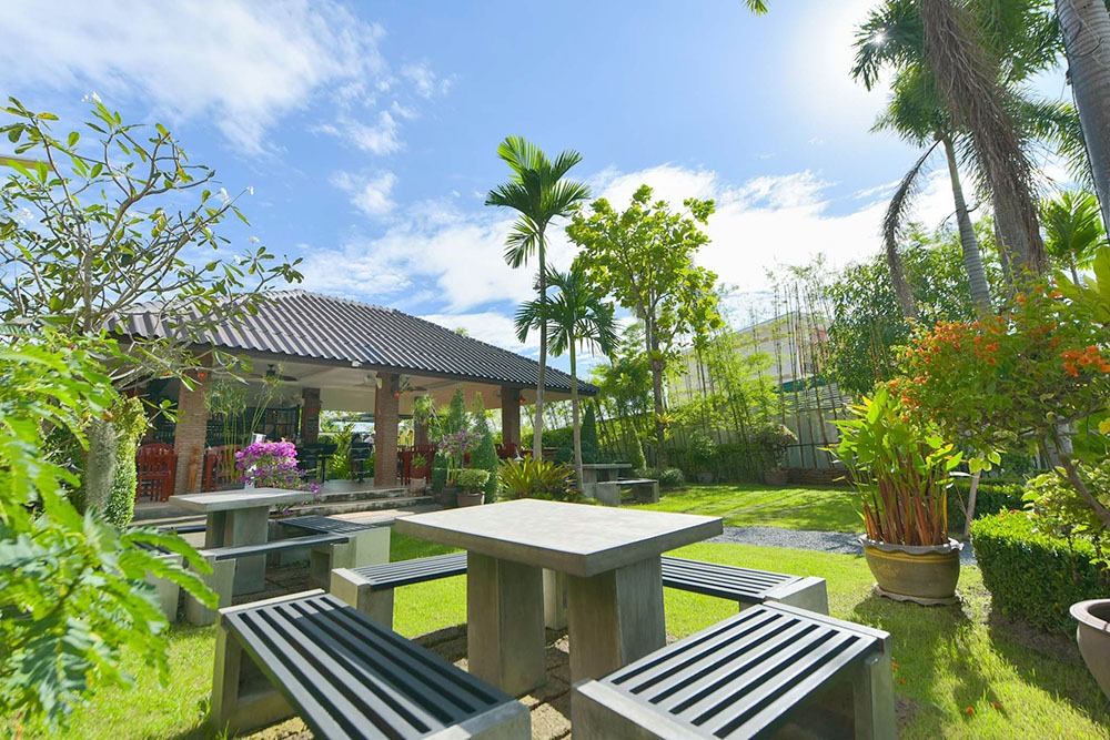 thiết kế cảnh quan sân vườn 2