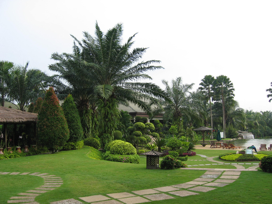 thiết kế cảnh quan sân vườn 4