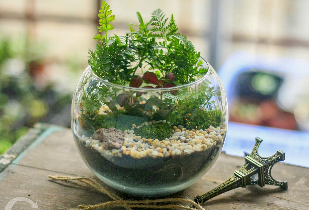 Tiểu cảnh đẹp mini 3