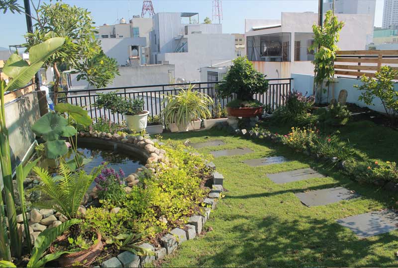 tiểu cảnh sân vườn nhỏ đẹp 1