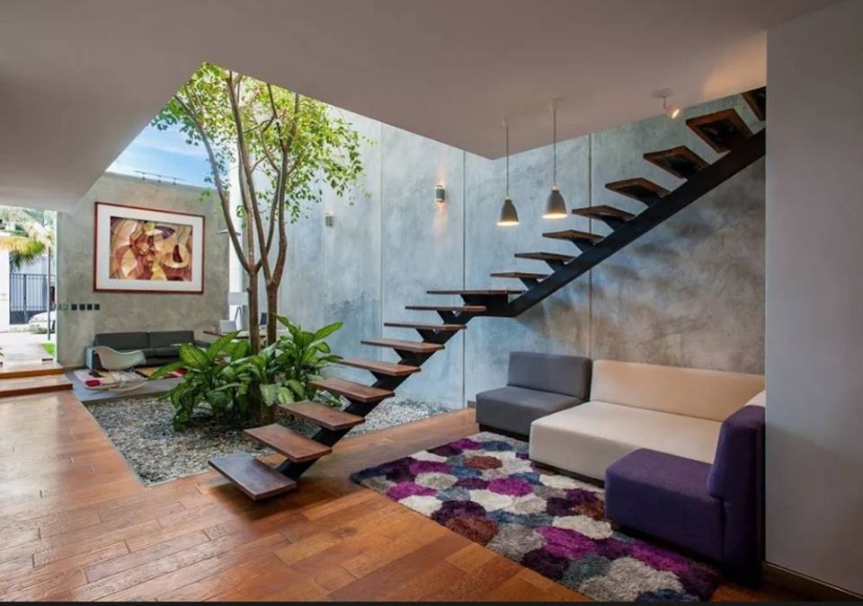 tiểu cảnh trong nhà ống 1