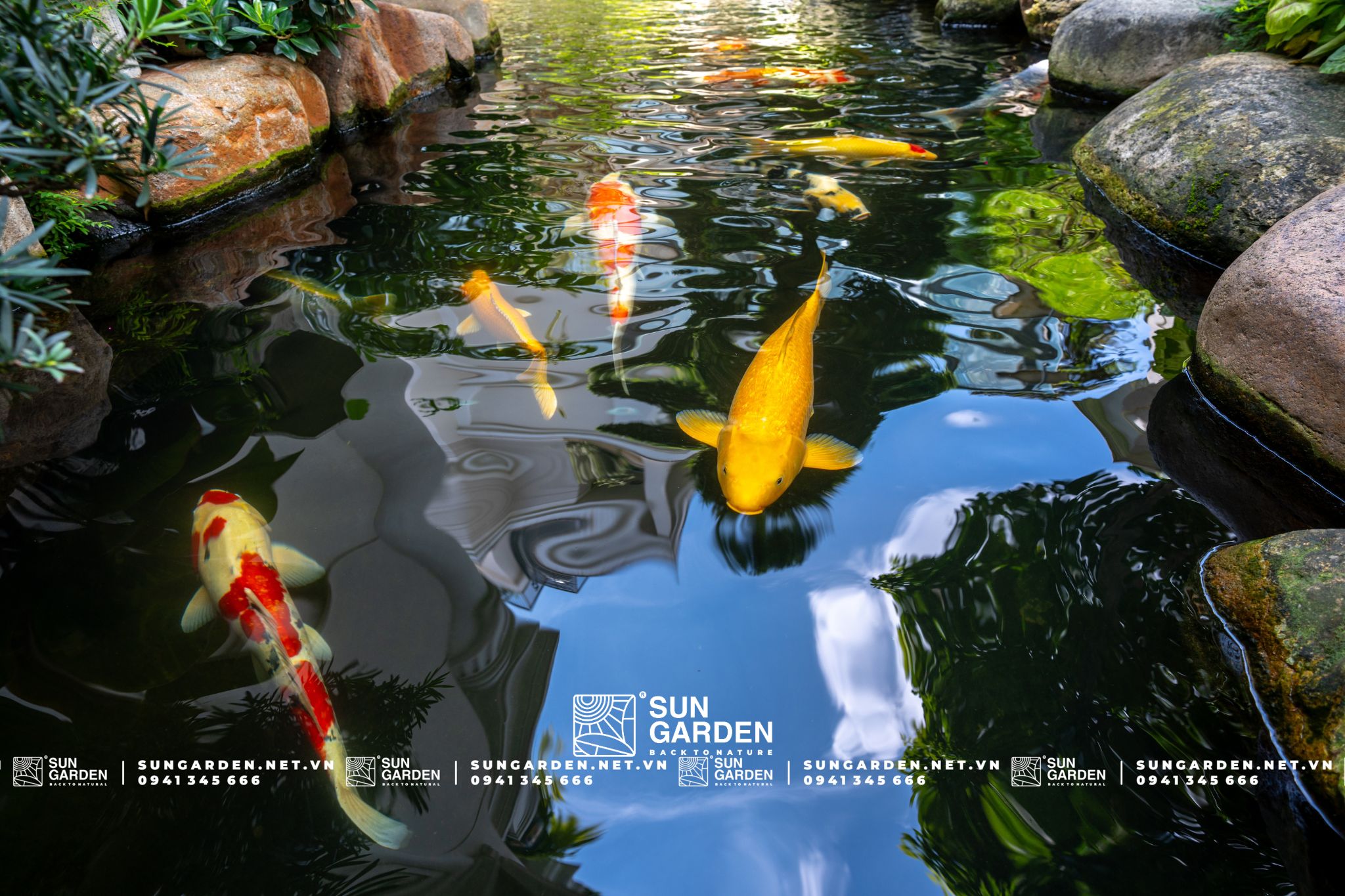 tiểu cảnh trong nhà ống 2