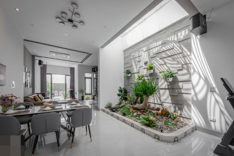 tiểu cảnh trong nhà ống 2