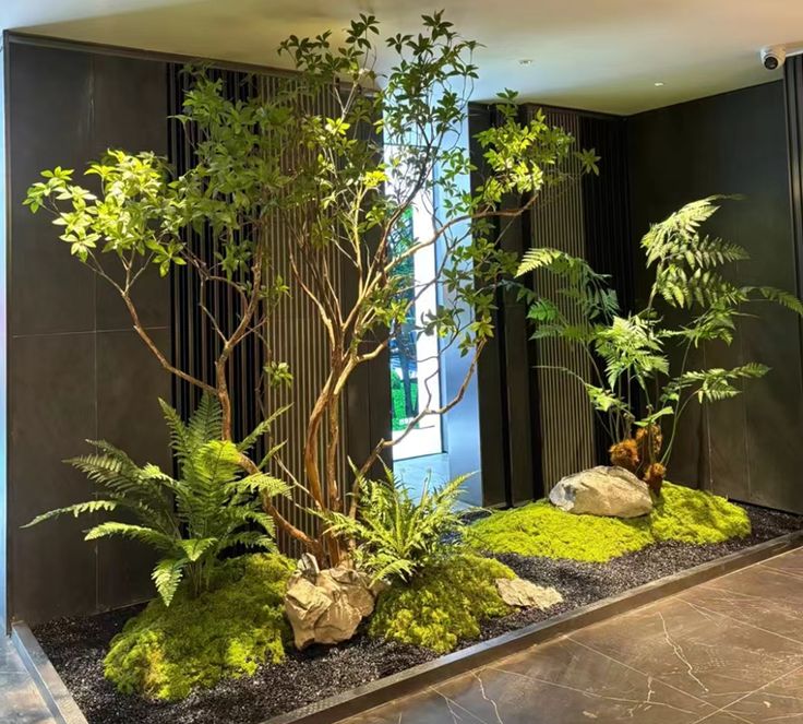 tiểu cảnh trong nhà ống 5