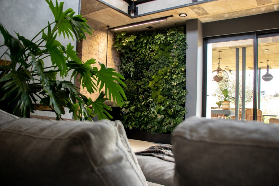 Trang trí tiểu cảnh 2