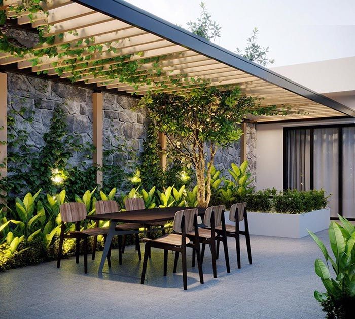 cây tiểu cảnh sân vườn 6