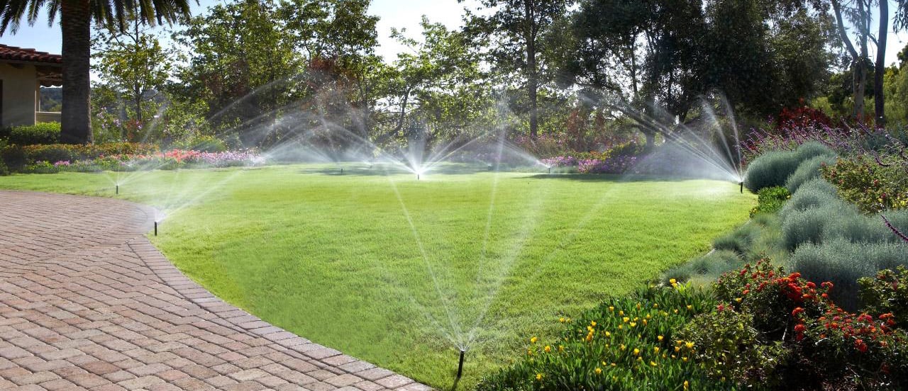 thiết kế vườn 3