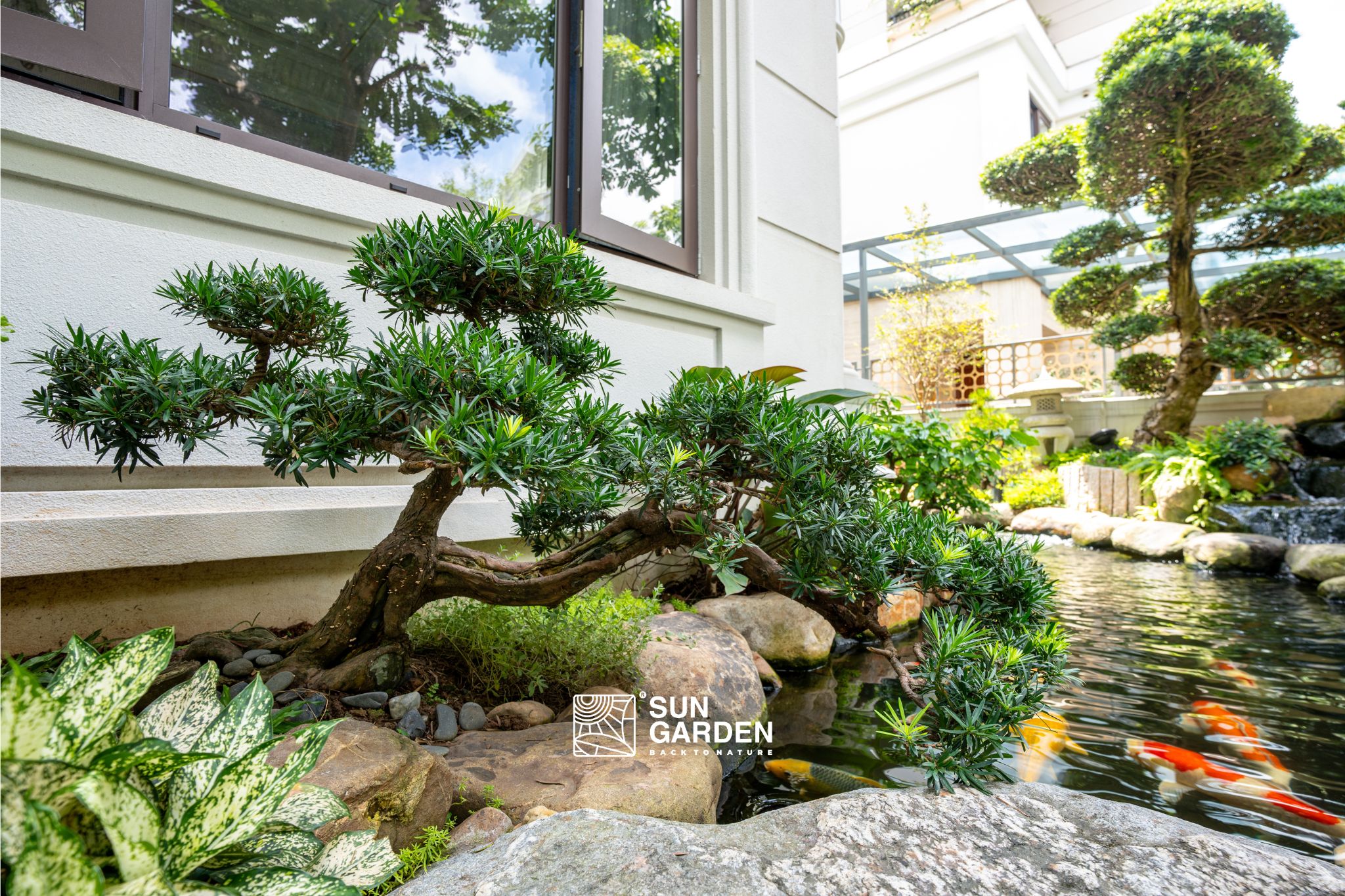 thiết kế vườn đẹp 4