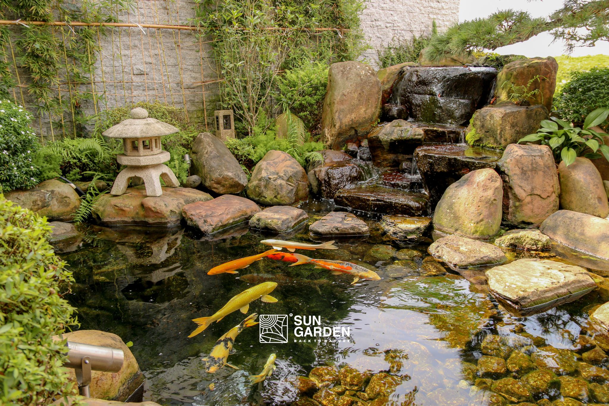 tiểu cảnh góc sân 5