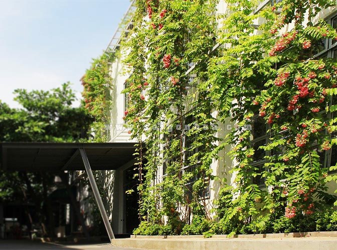 tường sân vườn đẹp 4