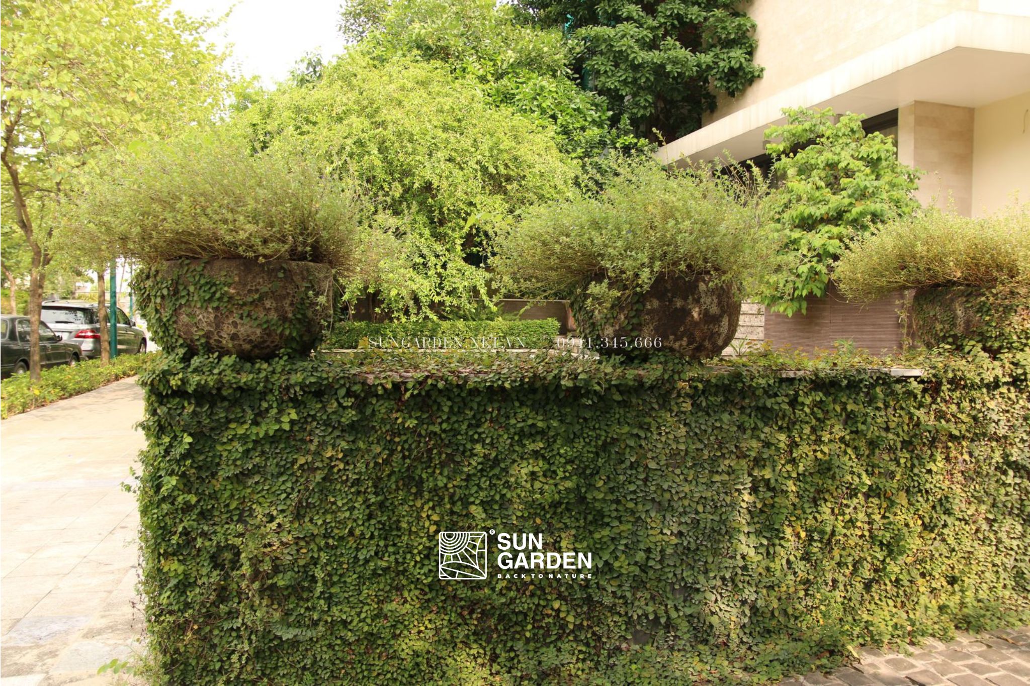 Thiết kế sân vườn nhỏ sau nhà 4