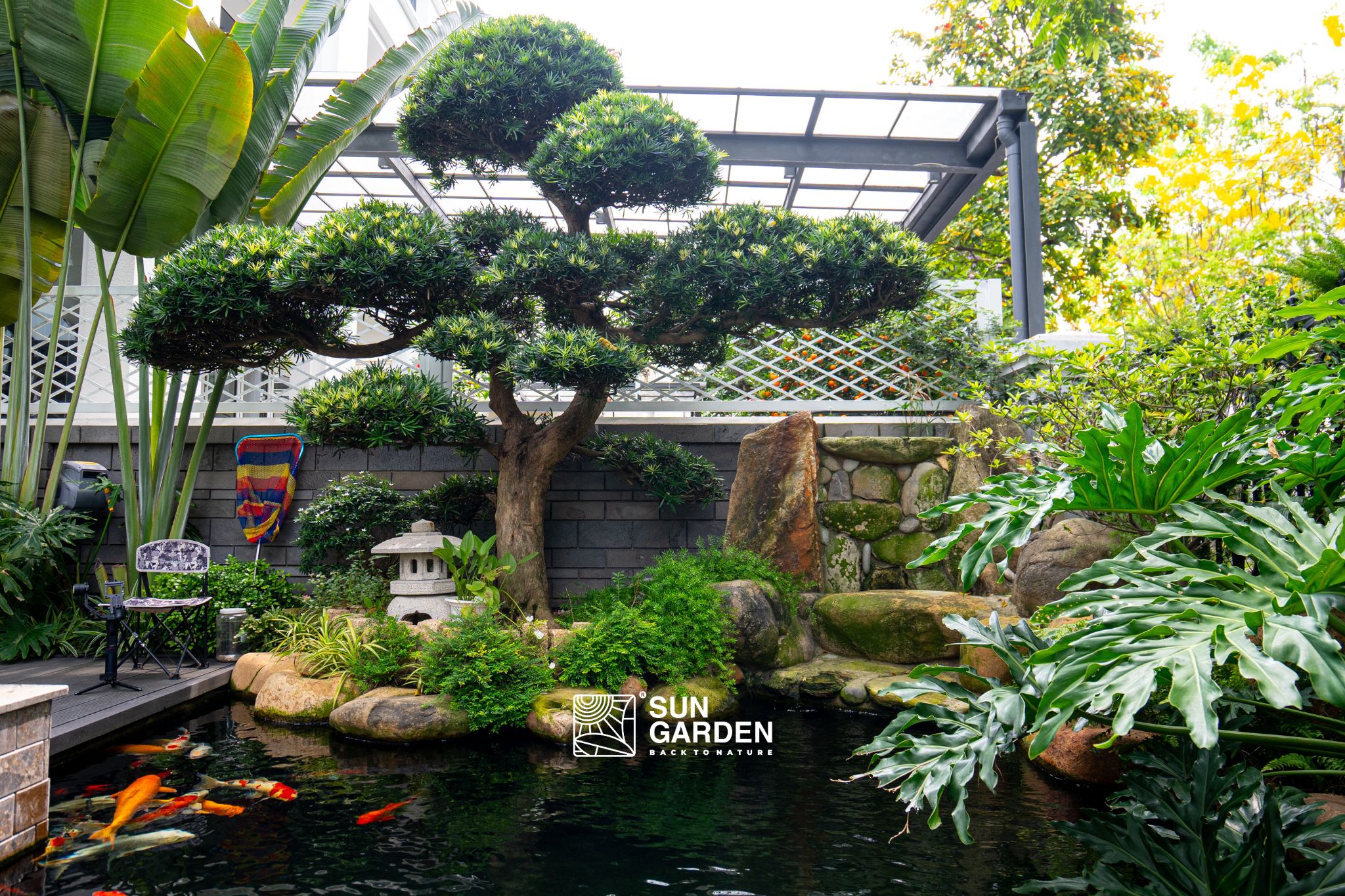 vườn nhà đẹp 4