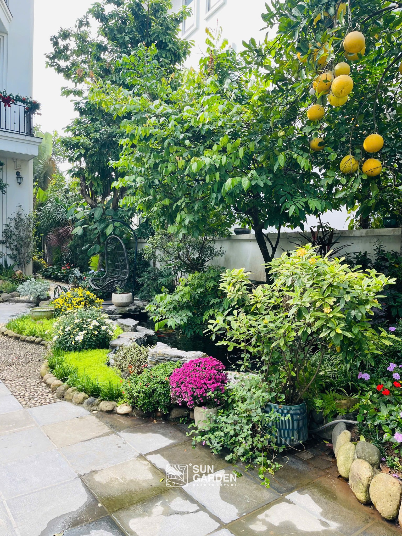 ảnh sân vườn 3