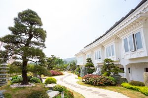 cảnh sân vườn đẹp 2