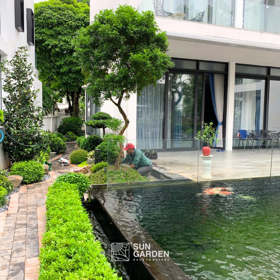 Cảnh sân vườn đẹp 3