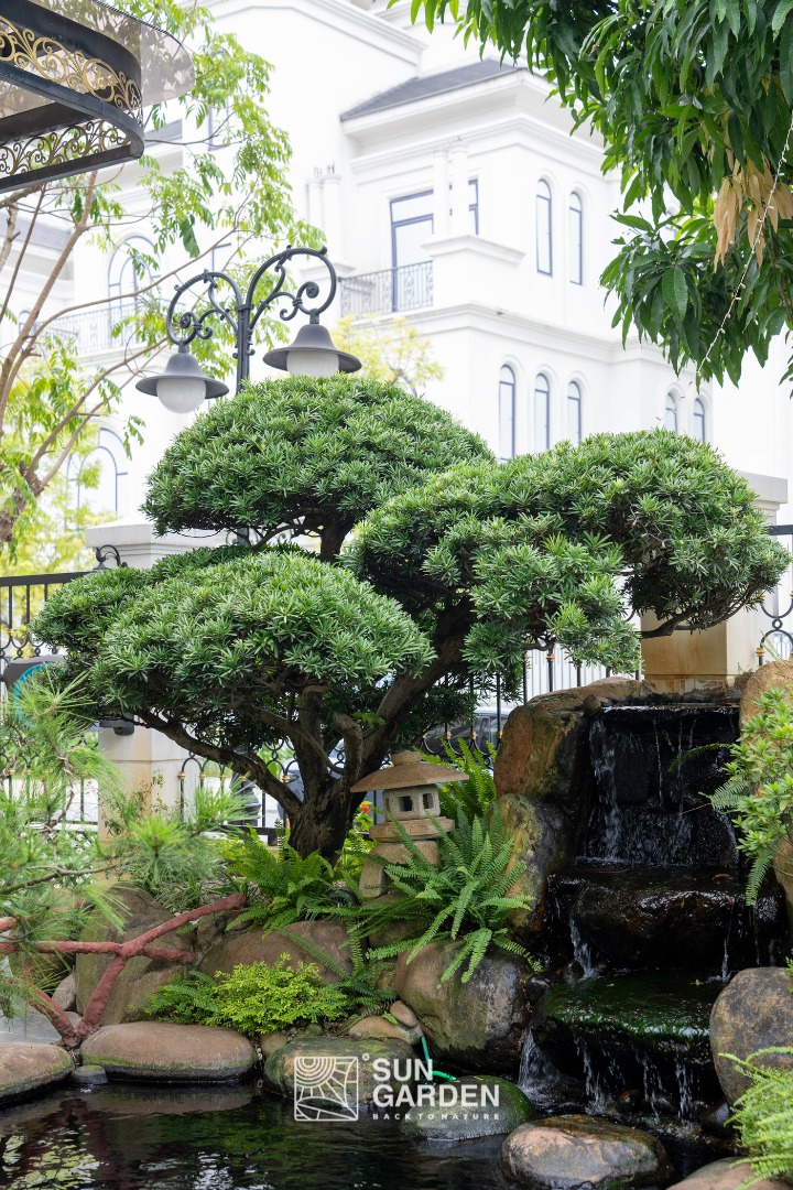 Cảnh sân vườn đẹp 5