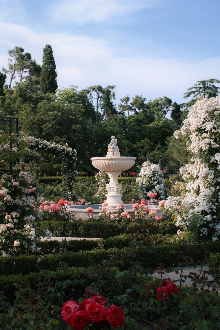 sân vườn đẹp 5