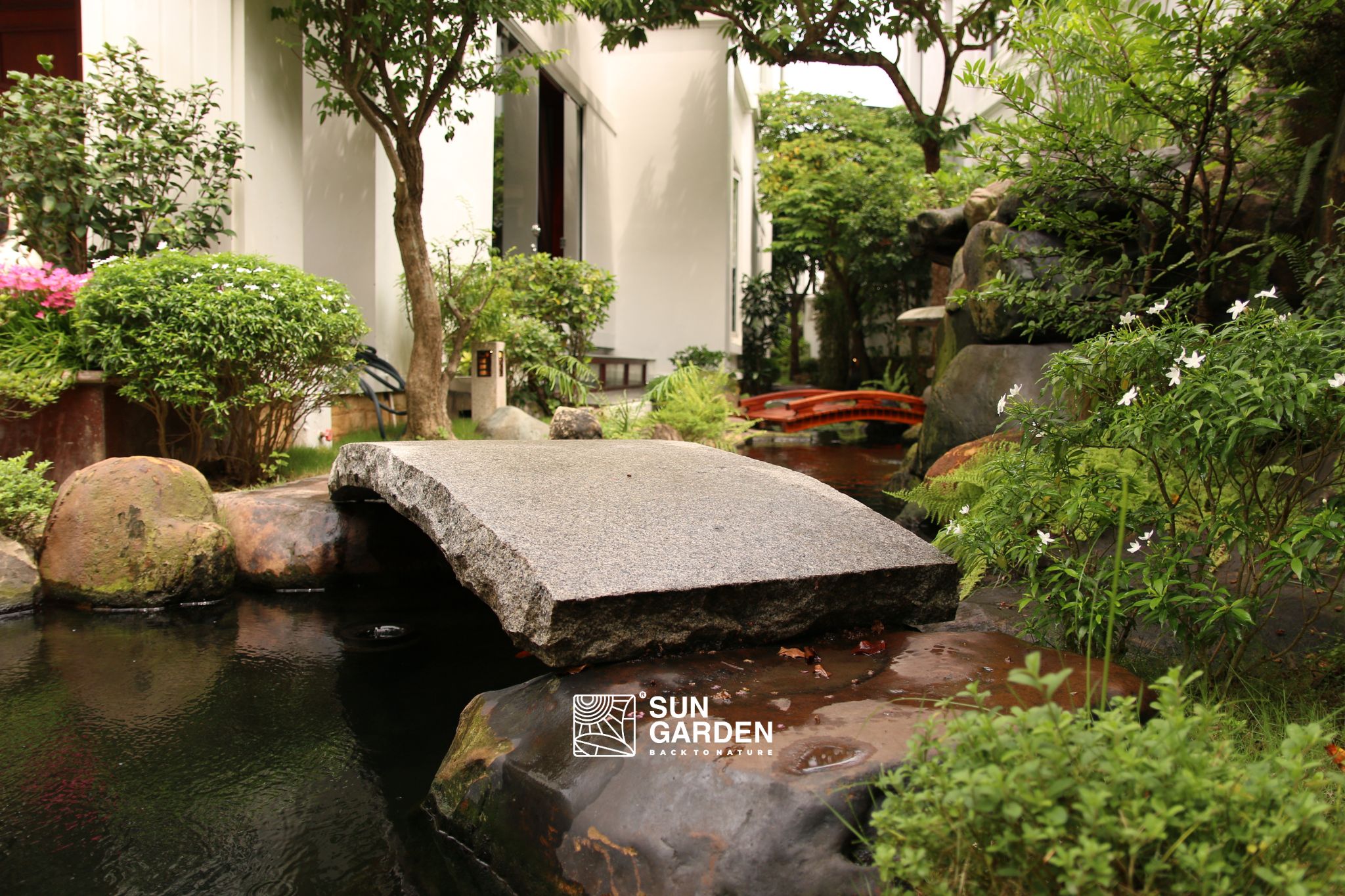 sân vườn sau nhà ống 2