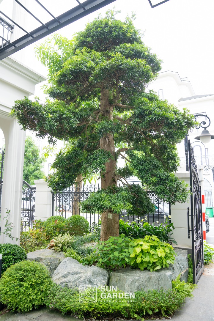 thi công tiểu cảnh 1