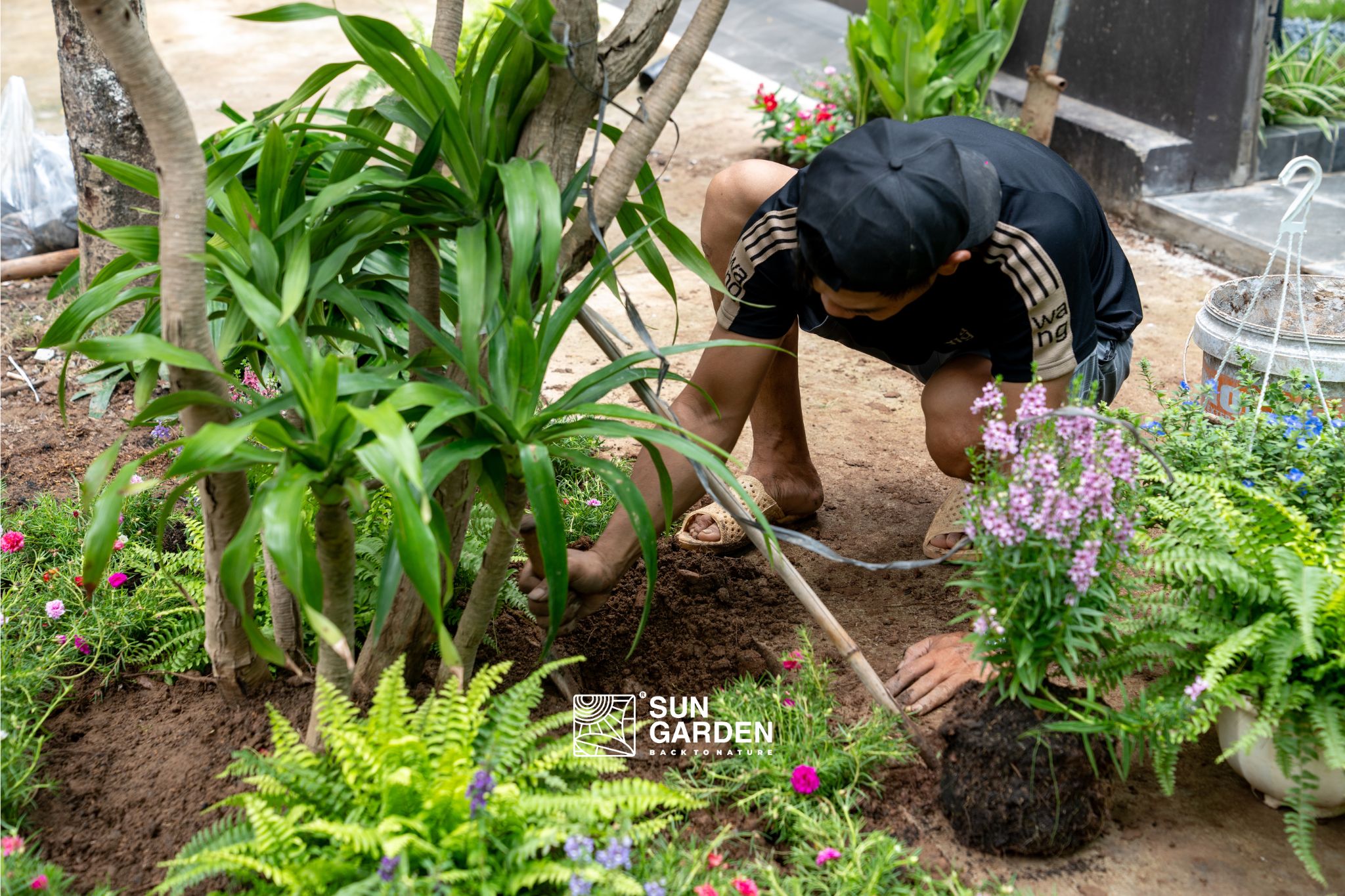 thi công tiểu cảnh 4