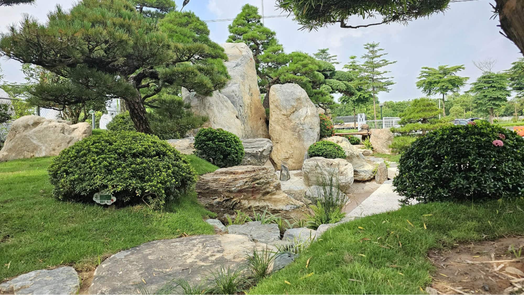 Thiết kế cảnh quan cây xanh 1