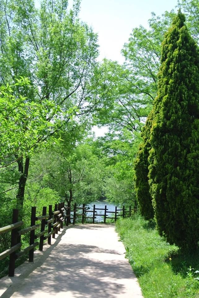 thiết kế công viên mini 1