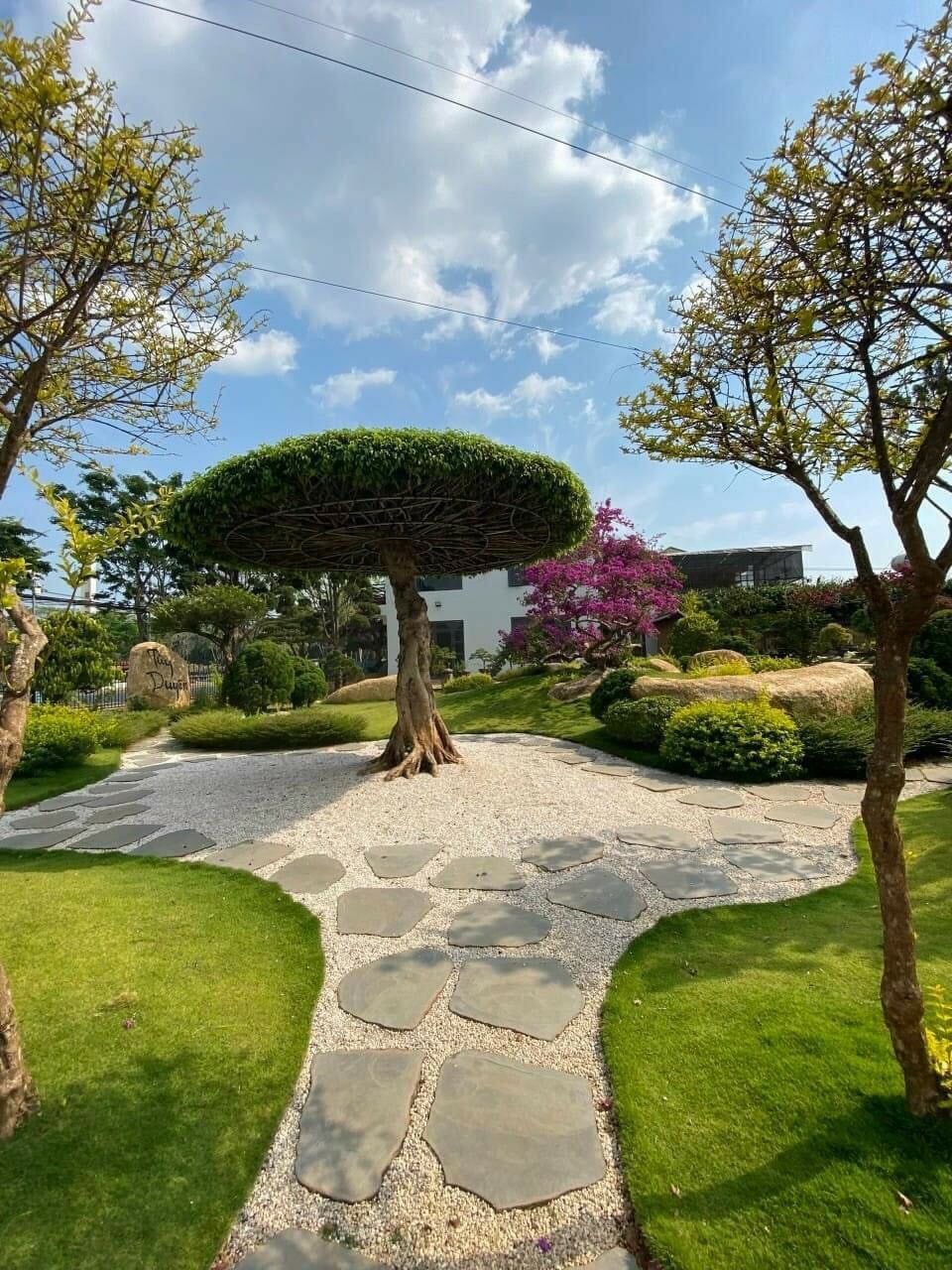 thiết kế công viên mini 3