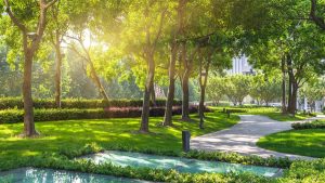 thiết kế công viên mini 3