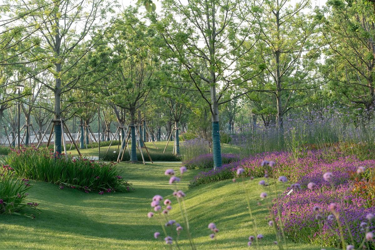 thiết kế công viên mini 5