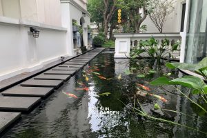 Thiết kế sân vườn 1