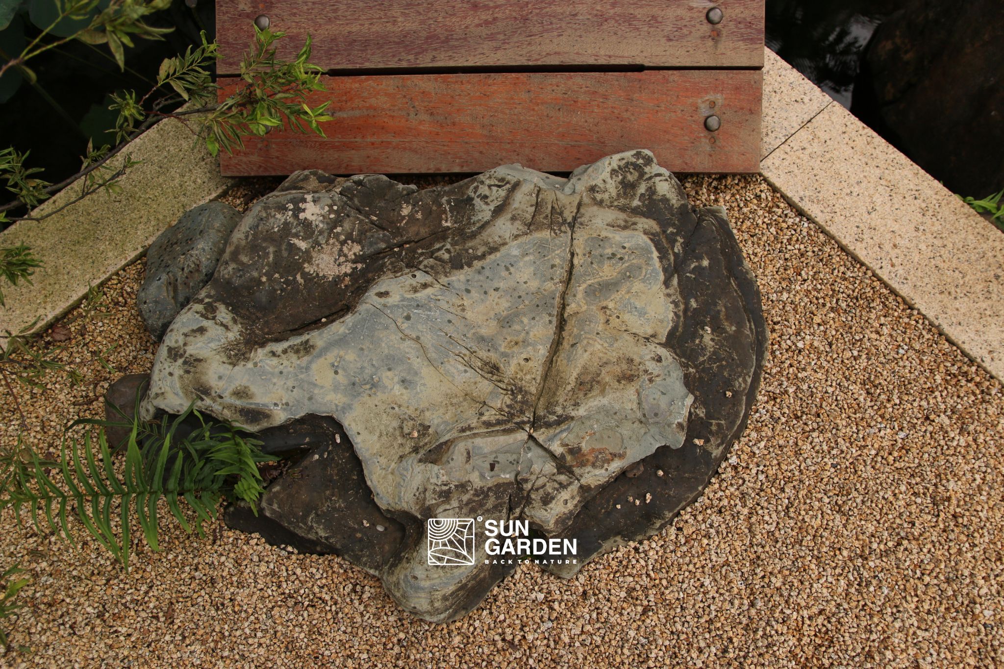 thiết kế sân vườn 3