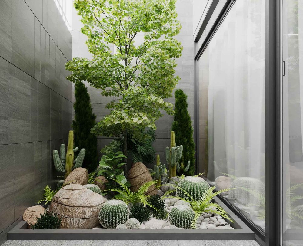 Tiểu cảnh mini sân vườn 2