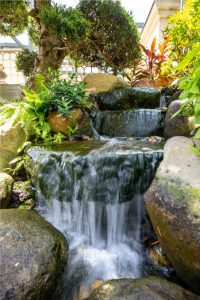 Tiểu cảnh mini sân vườn 4