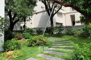 Vườn nhà đẹp 1
