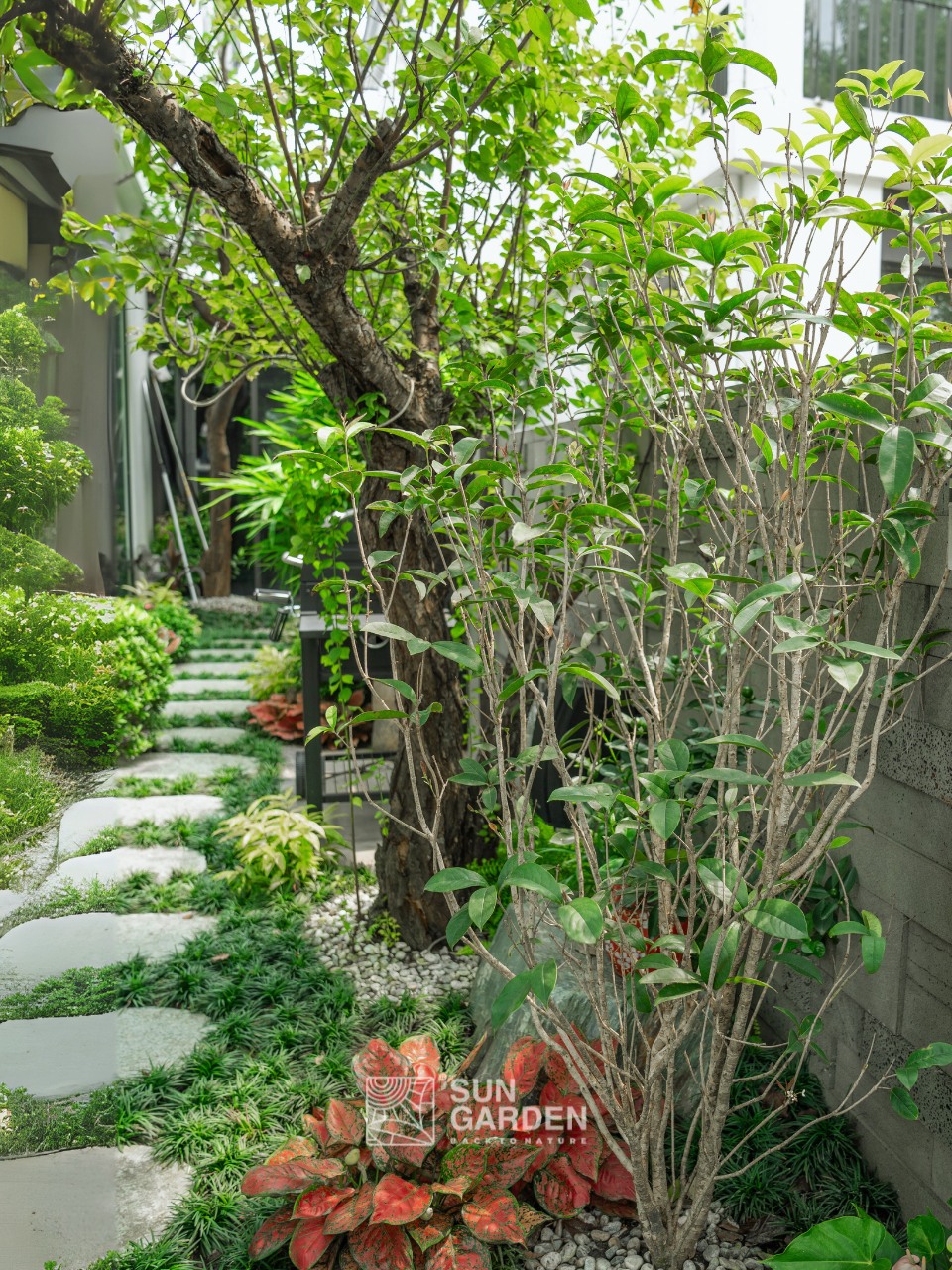 vườn nhà đẹp 5