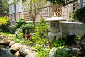 ảnh sân vườn 4