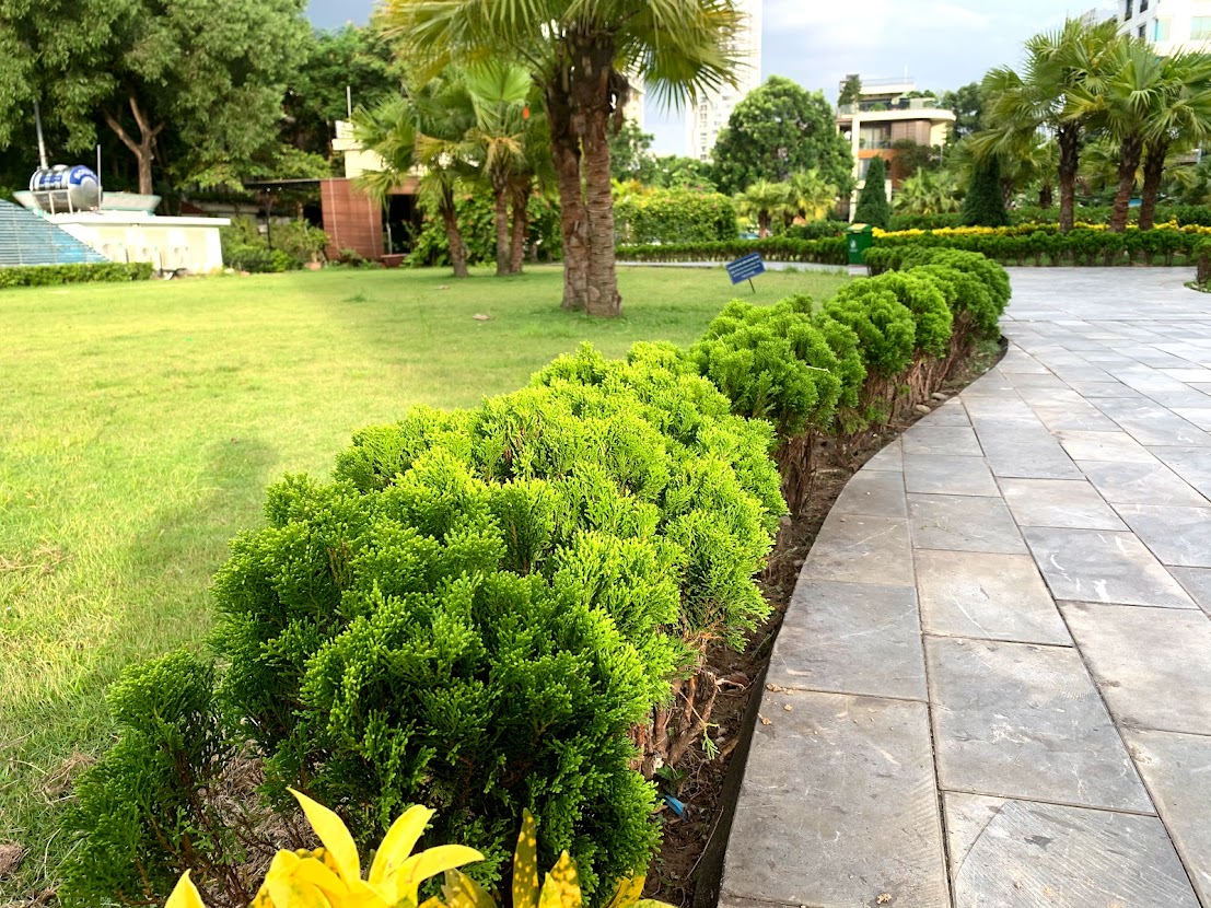 cảnh quan đô thị 1