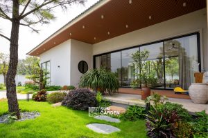 Cảnh sân vườn đẹp 2