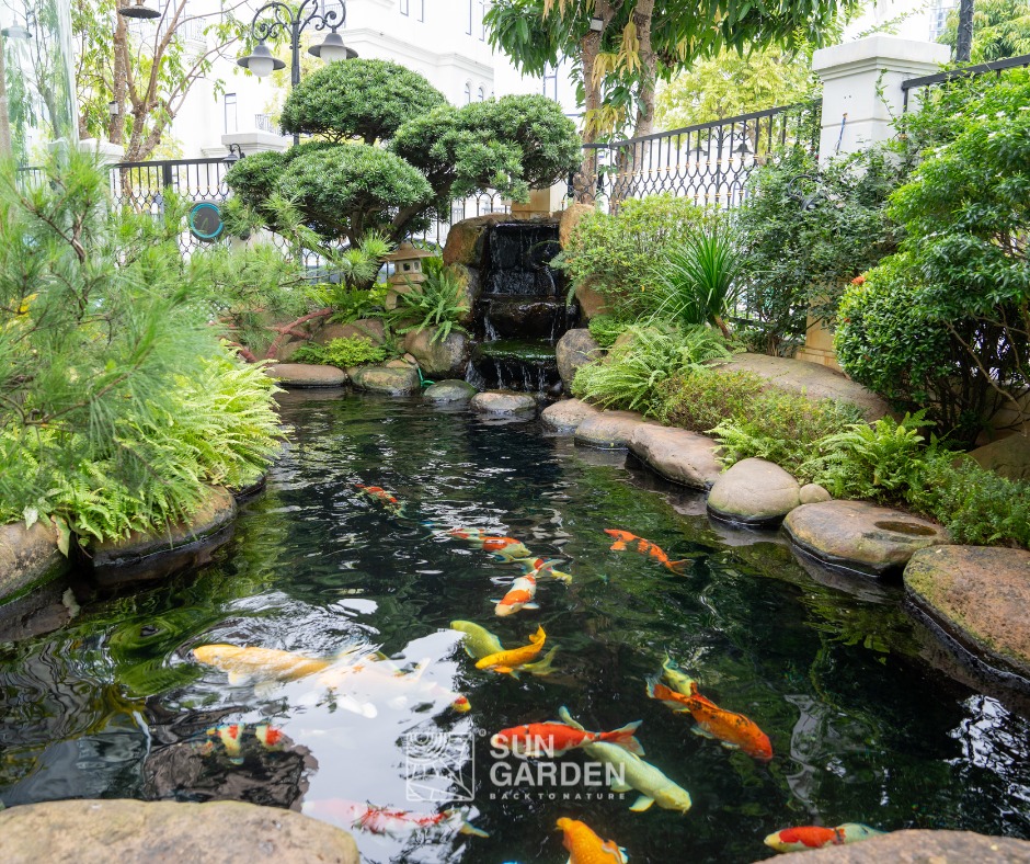 Mẫu nhà sân vườn 2