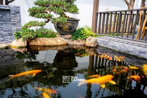 mô hình nhà tiểu cảnh 4