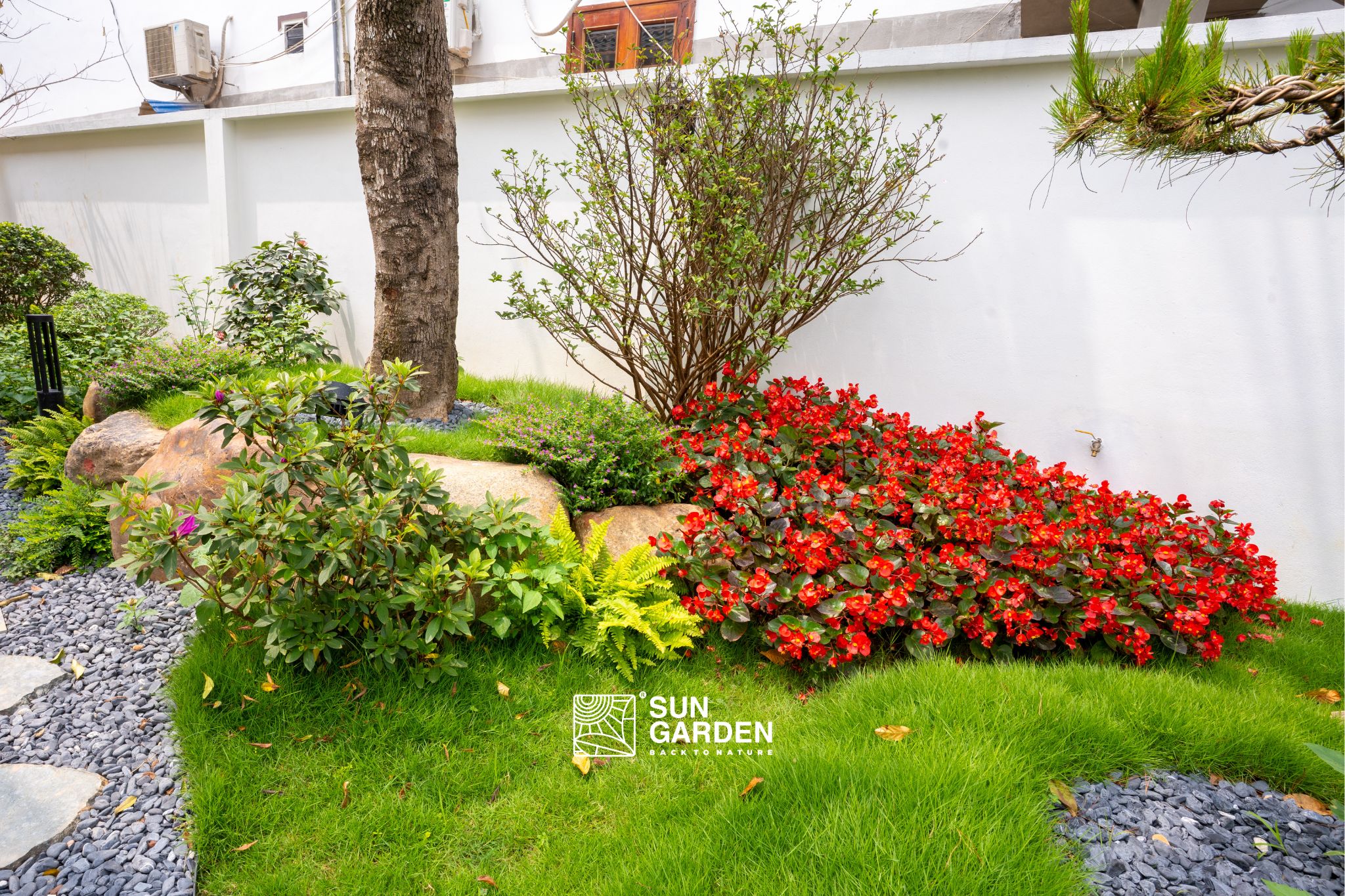 Nhà có sân vườn đẹp 4