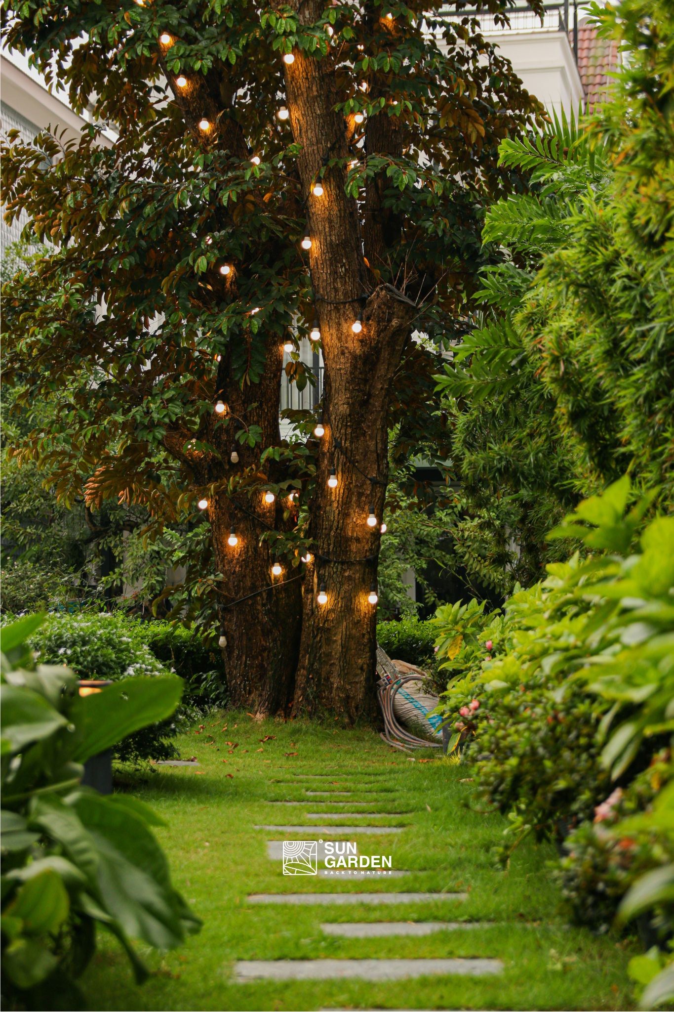 Nhà sân vườn hiện đại 2