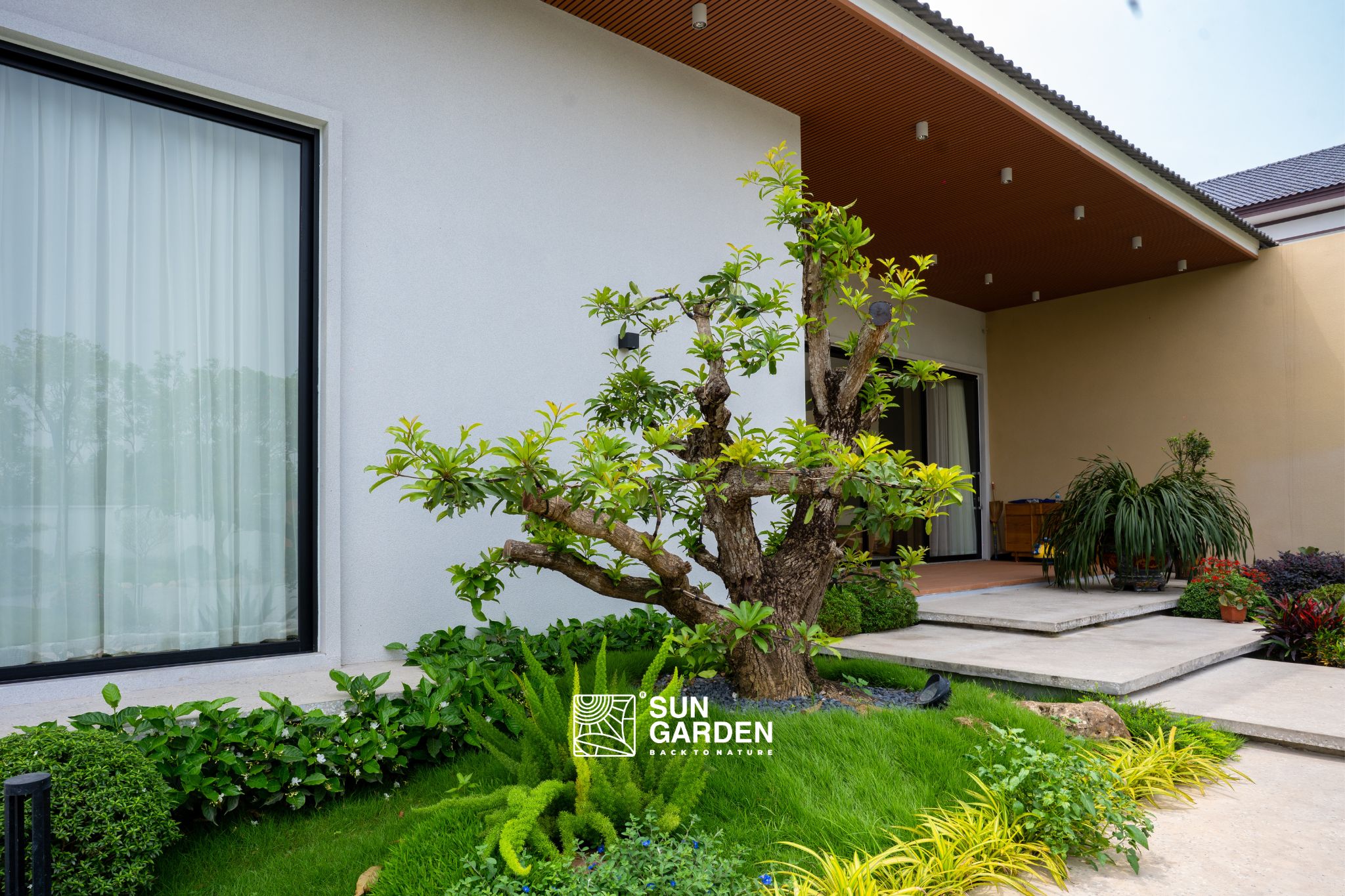 Nhà sân vườn hiện đại 2