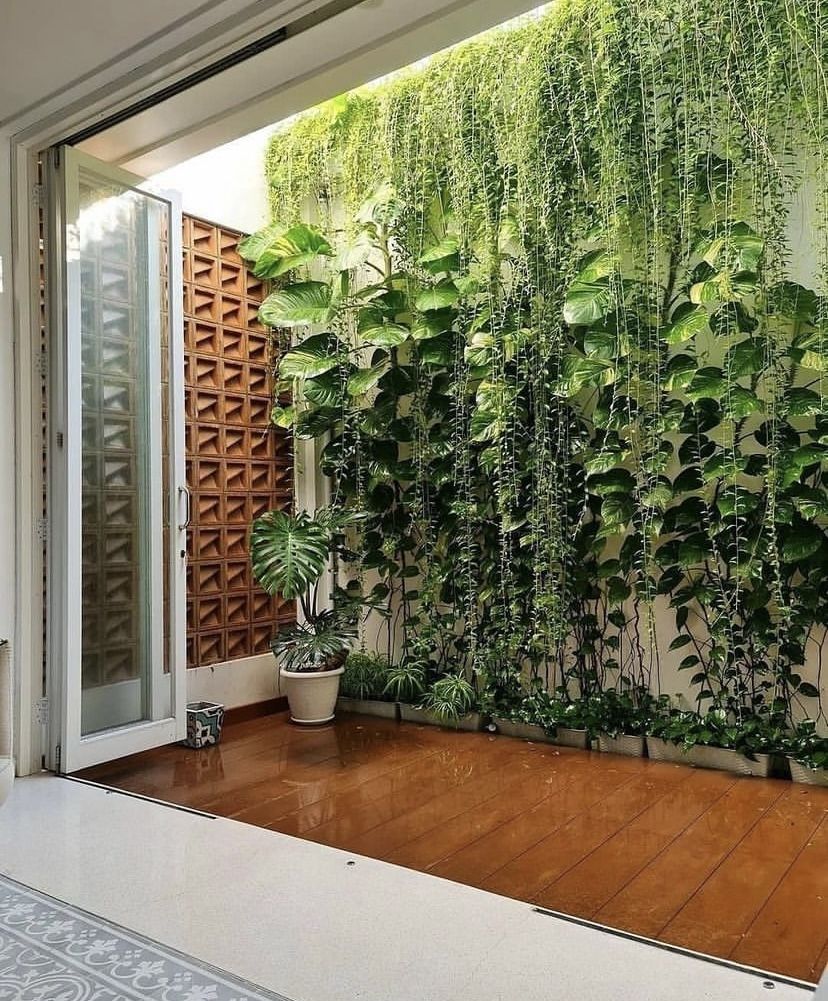 Sân vườn đẹp 3