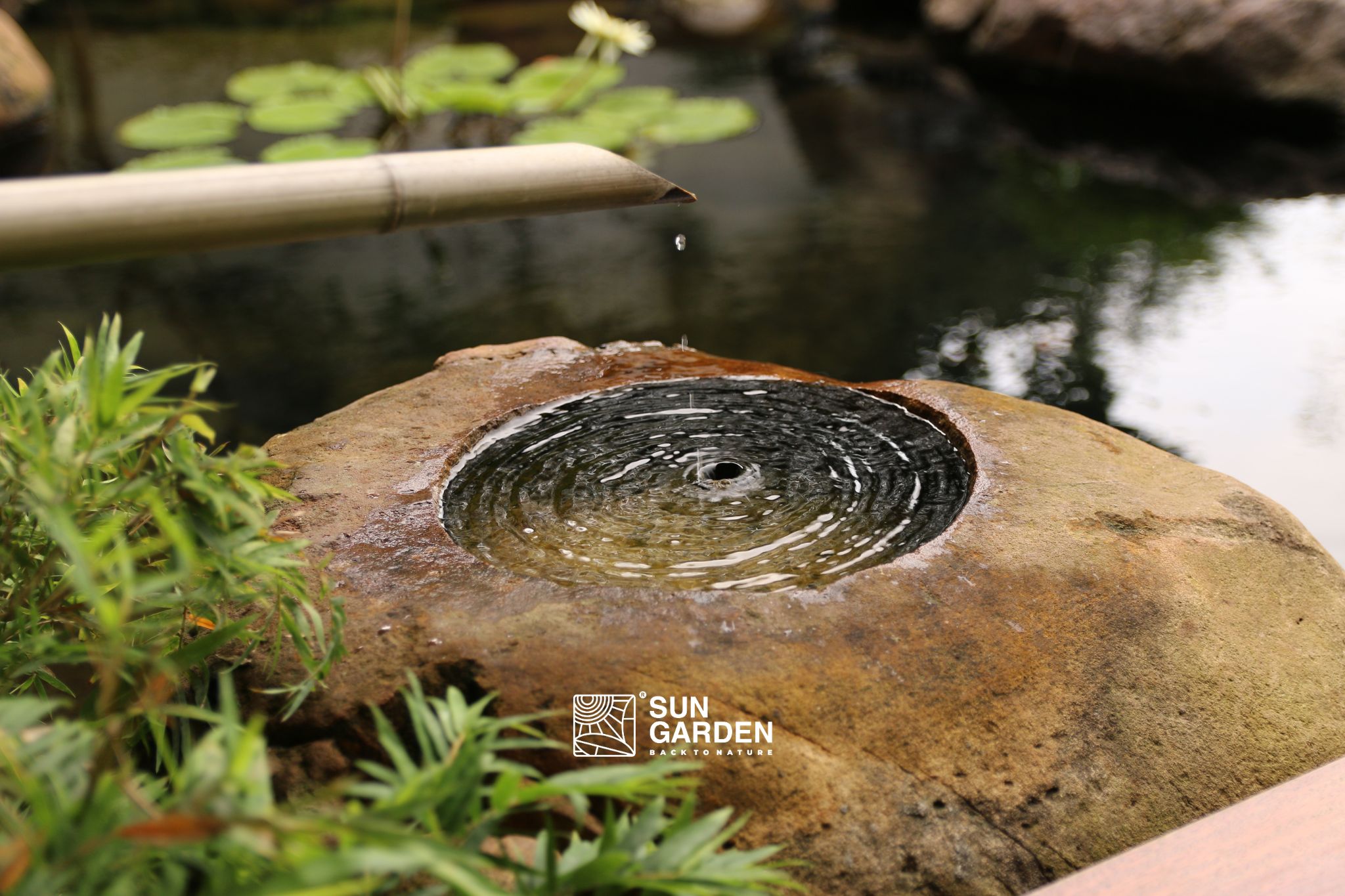 sân vườn sau nhà 4